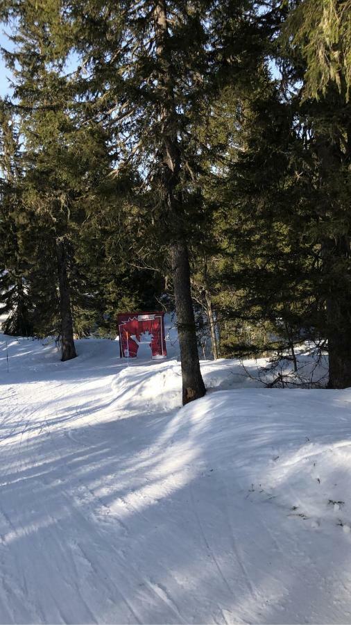 Apartmán Ecrins Etoile C9 Samoëns Exteriér fotografie